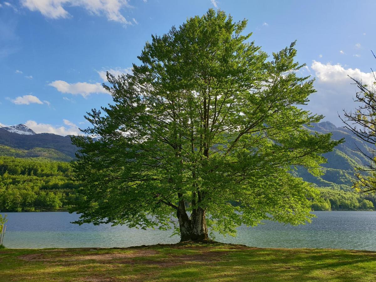 Apartments Vila Darja Bohinj Luaran gambar