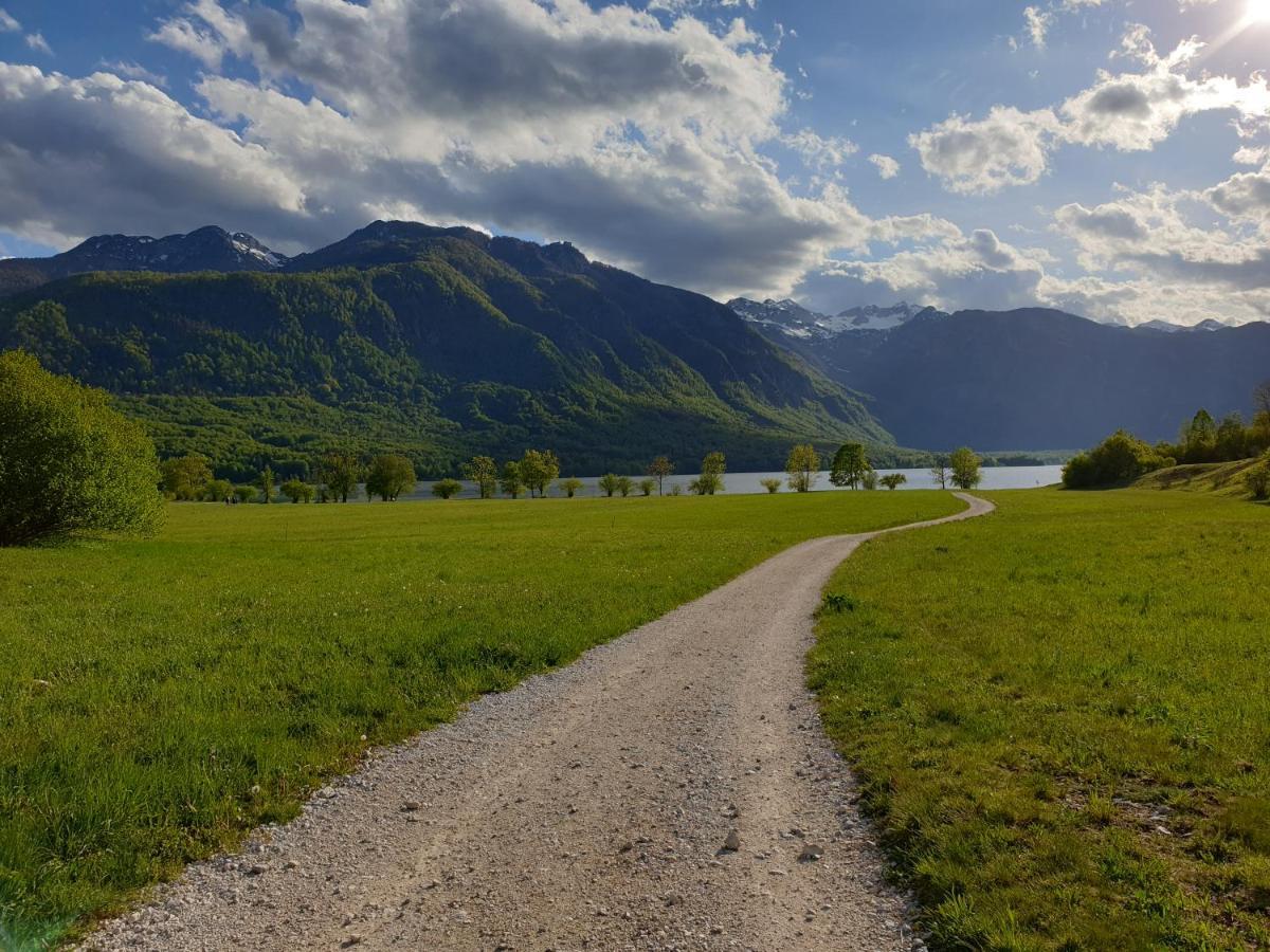 Apartments Vila Darja Bohinj Luaran gambar