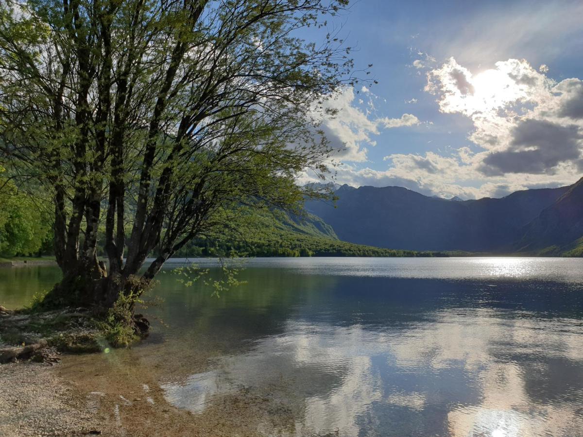 Apartments Vila Darja Bohinj Luaran gambar